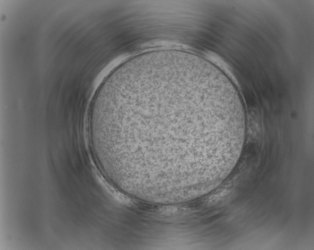 X0000067911098200605041637