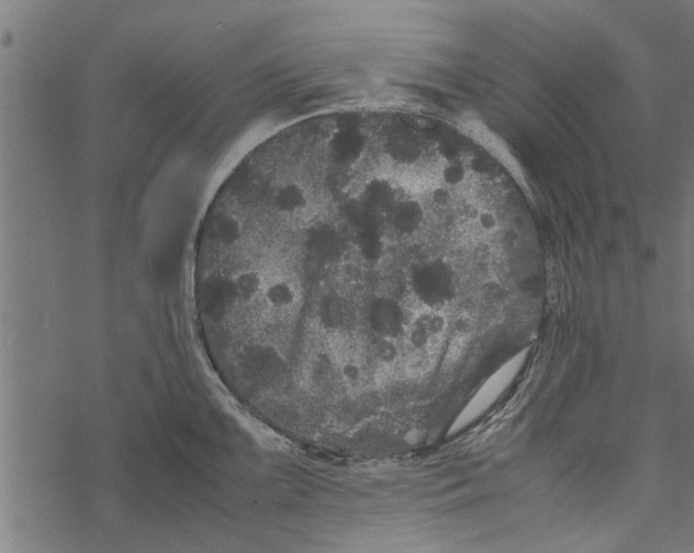 X0000067911099200605041637