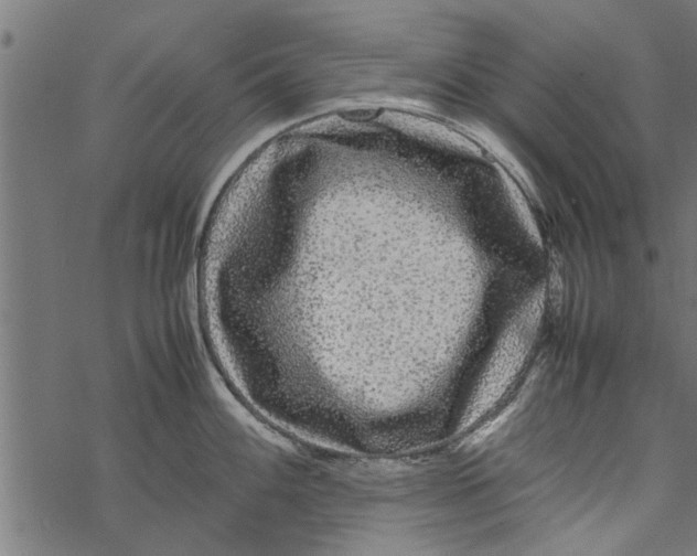 X0000067911100200605041637