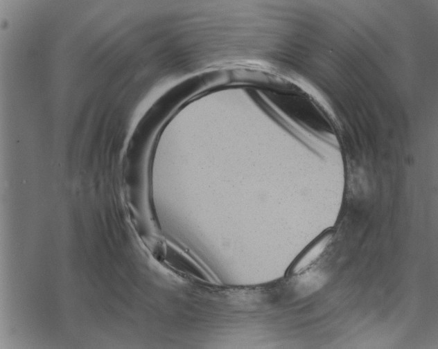 X0000067911102200605041637