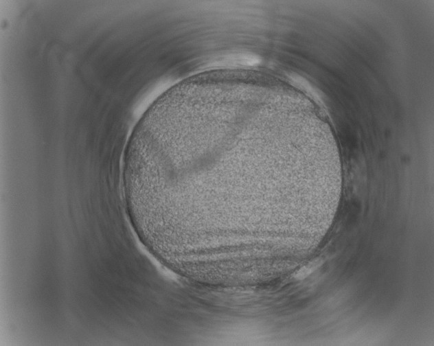 X0000067911103200605041637