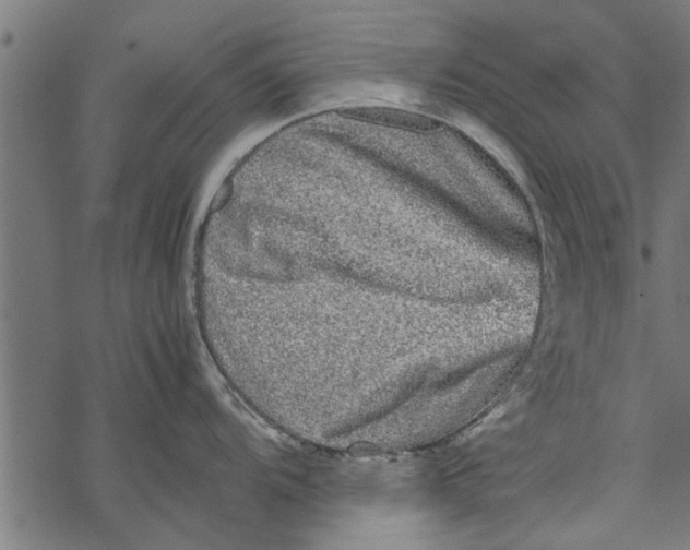 X0000067911104200605041637