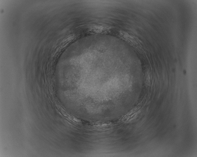 X0000067911105200605041636