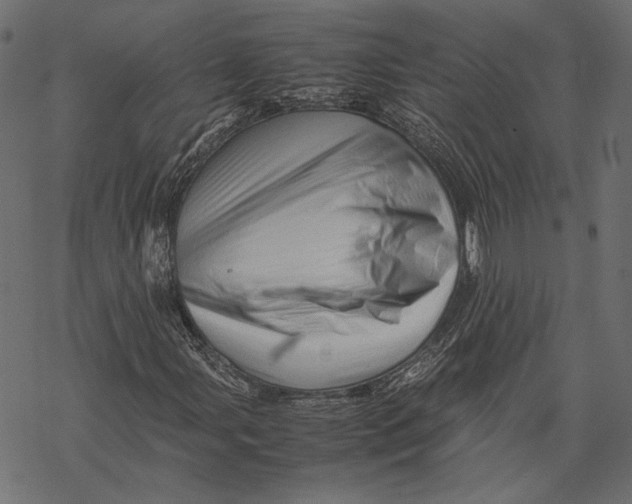 X0000067911107200605041636