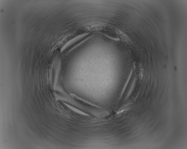 X0000067911108200605041636