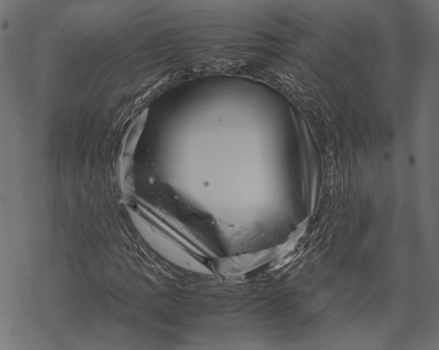 X0000067911109200605041636