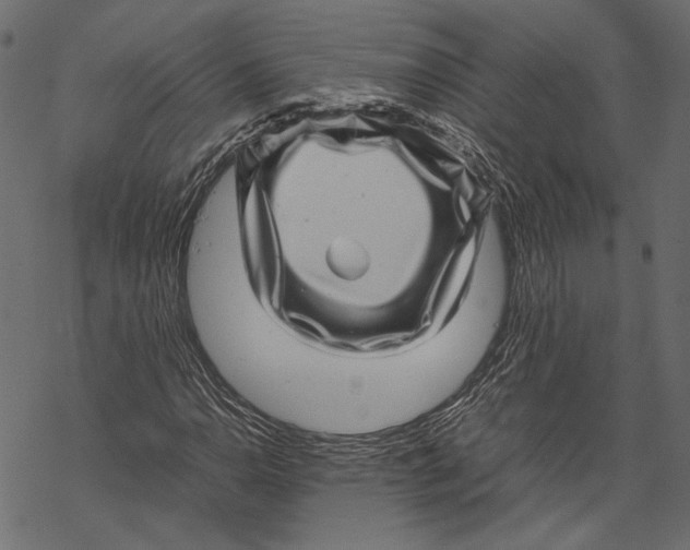 X0000067911110200605041636