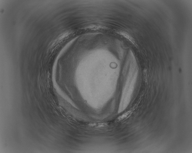 X0000067911111200605041636