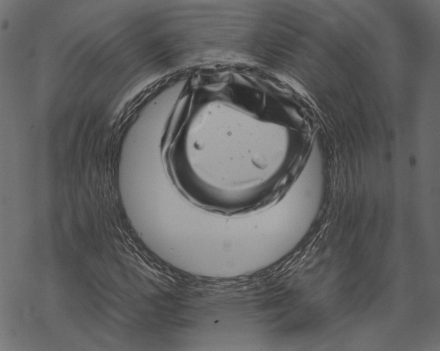 X0000067911112200605041636