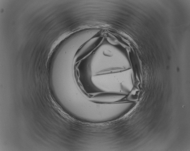 X0000067911114200605041636