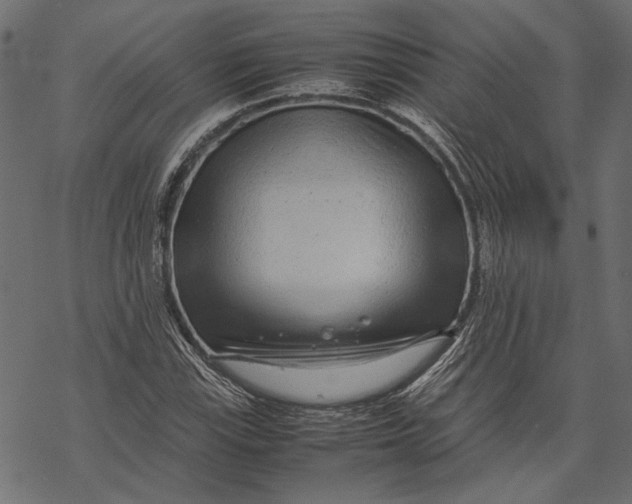 X0000067911115200605041636