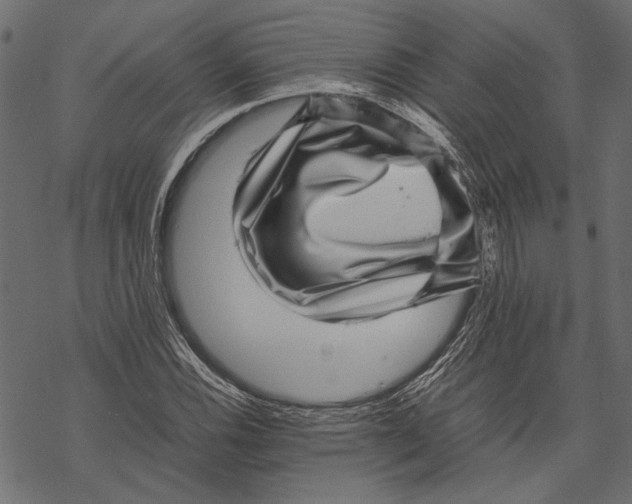 X0000067911116200605041636