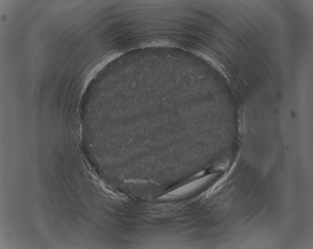 X0000067911117200605041636