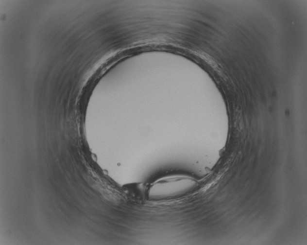 X0000067911118200605041636