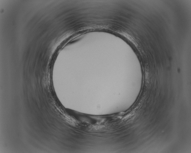 X0000067911119200605041636