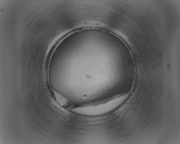 X0000067911120200605041636