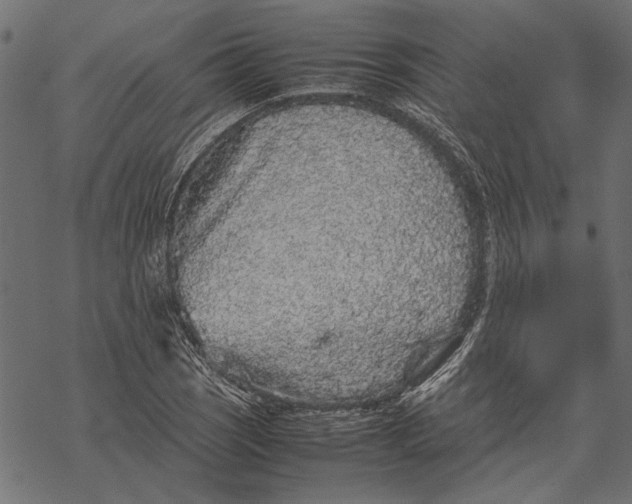 X0000067911121200605041636