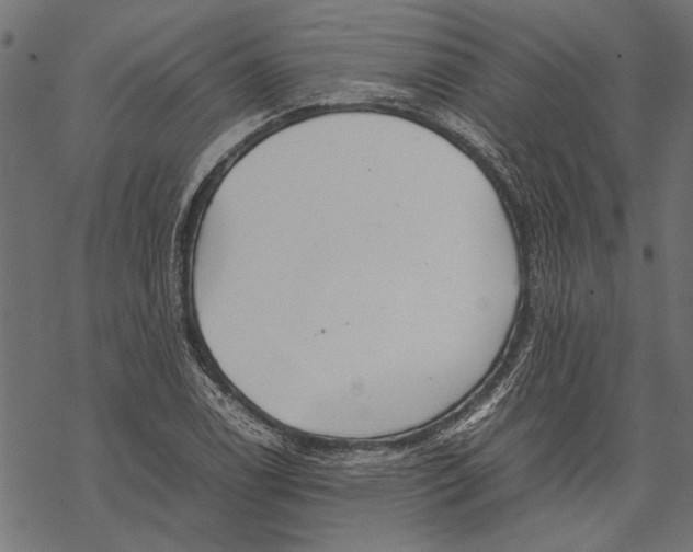 X0000067911122200605041636