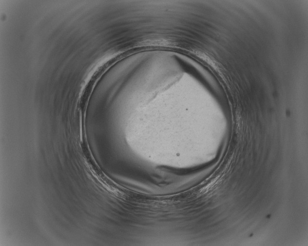 X0000067911123200605041636