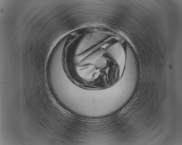 X0000067911124200605041636