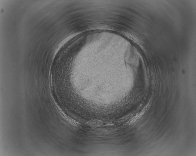 X0000067911125200605041636