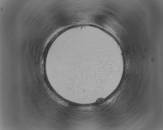 X0000067911126200605041636