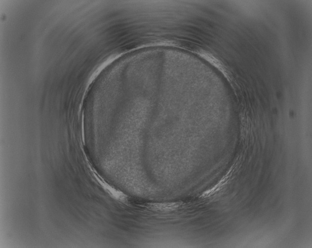 X0000067911127200605041636