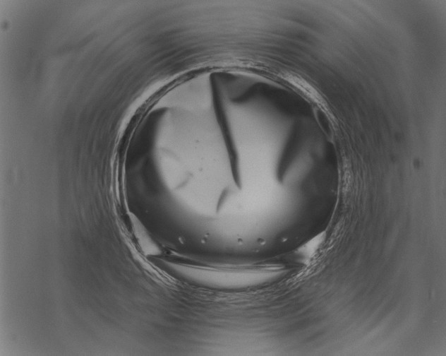 X0000067911128200605041636