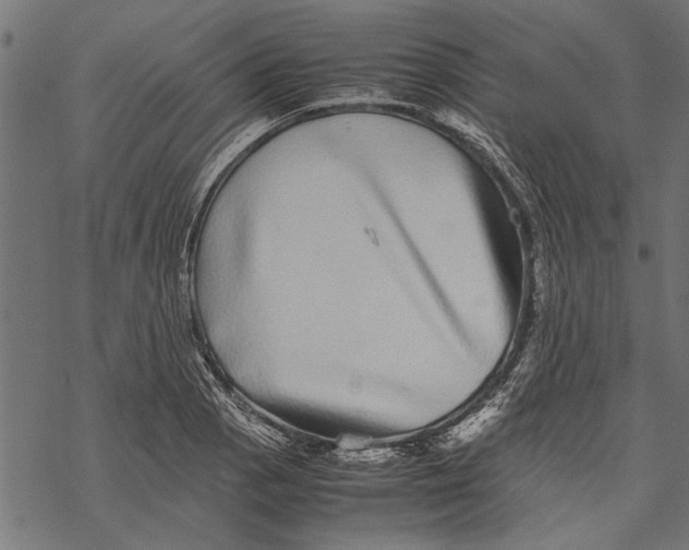 X0000067911129200605041636