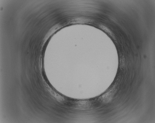 X0000067911130200605041636