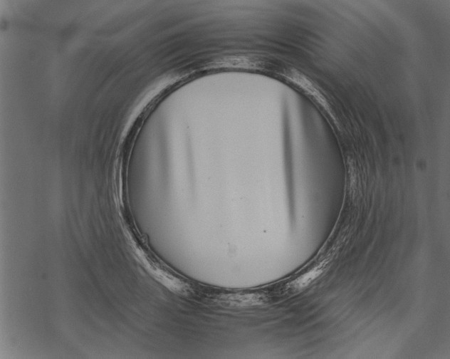 X0000067911131200605041636