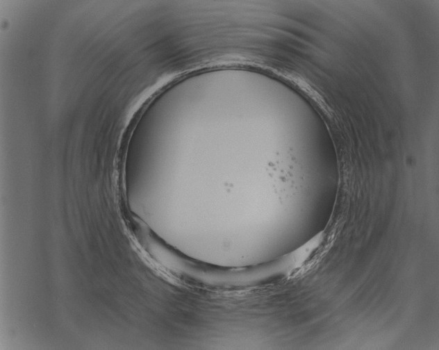 X0000067911134200605041637