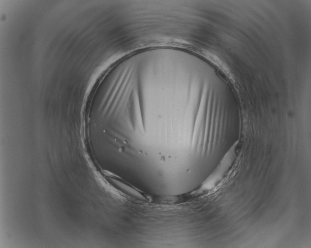 X0000067911136200605041637