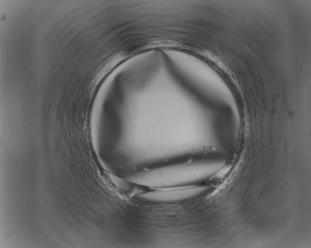 X0000067911137200605041637