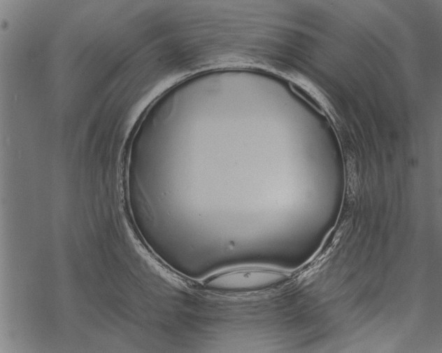 X0000067911142200605041637