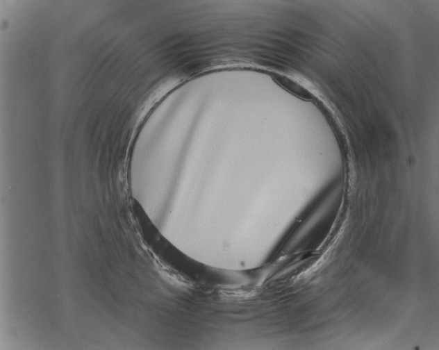 X0000067911145200605041637