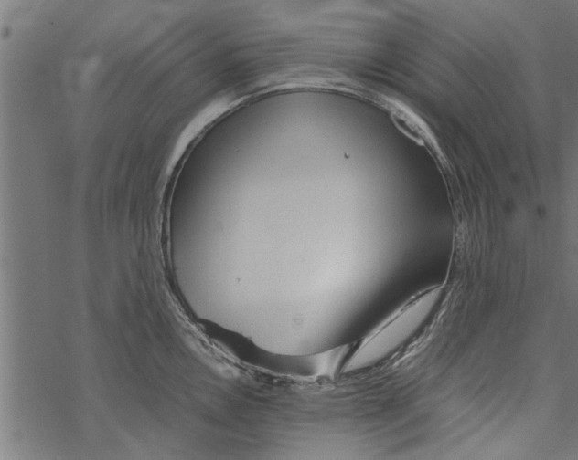 X0000067911146200605041637