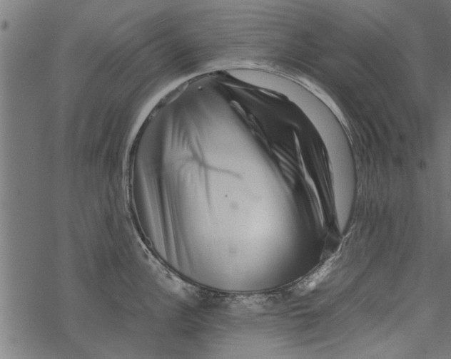 X0000067911148200605041637