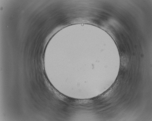 X0000067911150200605041637