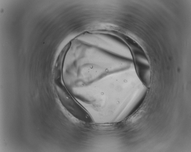 X0000067911152200605041637