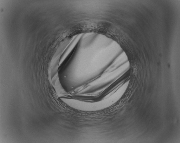 X0000067911153200605041636