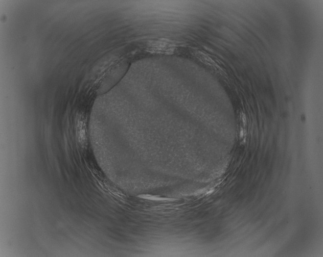 X0000067911154200605041636