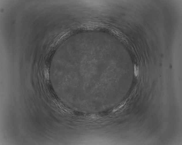 X0000067911155200605041636