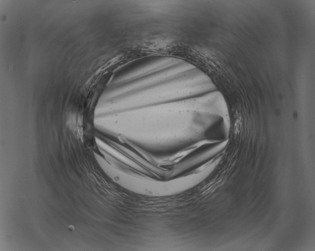 X0000067911156200605041636