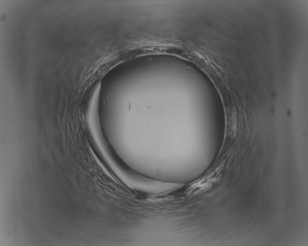 X0000067911157200605041636