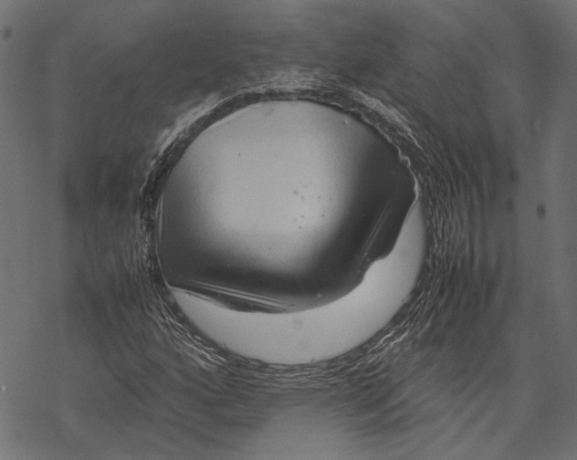 X0000067911160200605041636