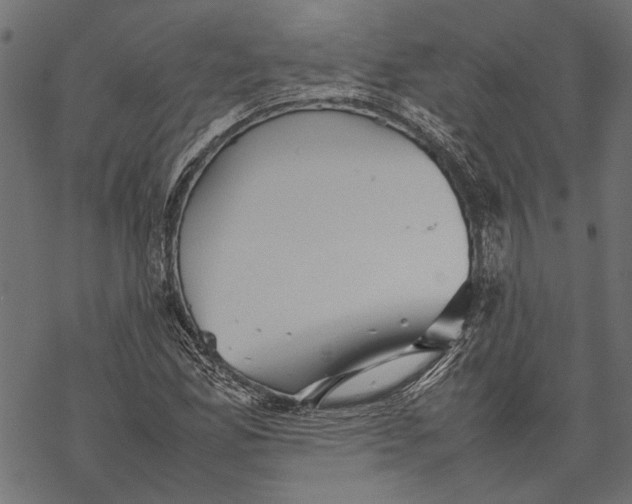 X0000067911165200605041636