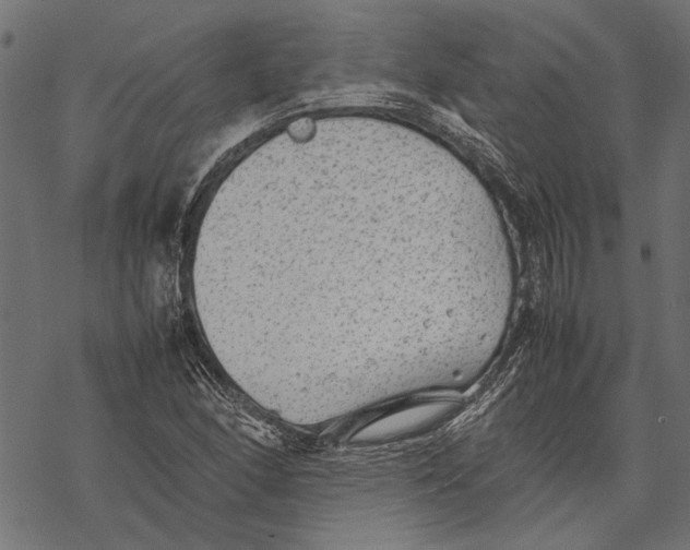 X0000067911166200605041636