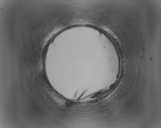 X0000067911167200605041636