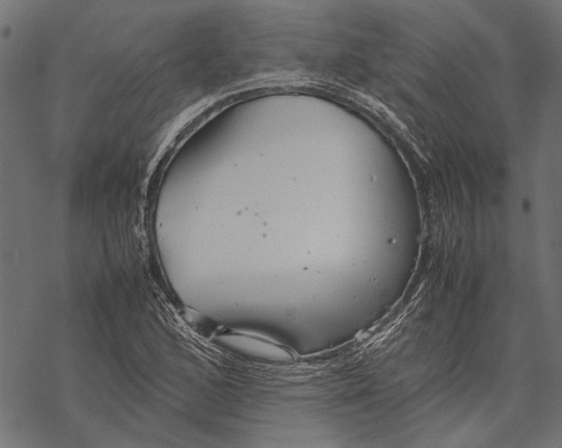 X0000067911168200605041636